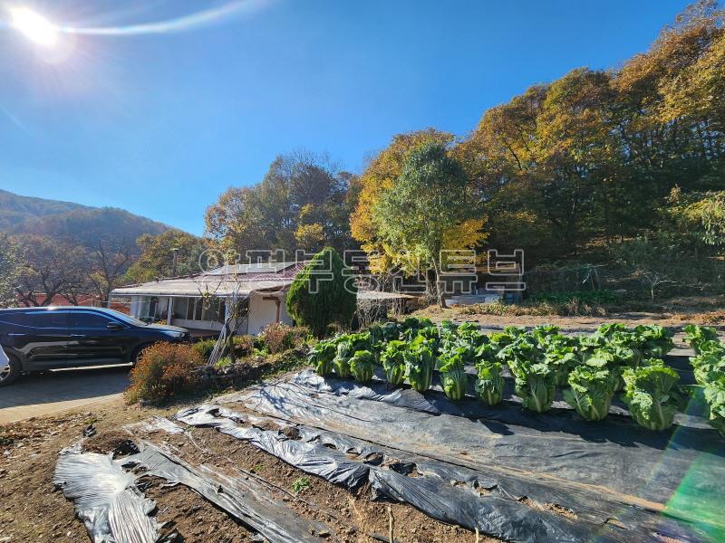 둥근 산 아래 햇살이 모여드는 따뜻하고 평안한 땅과 오래된 집_10