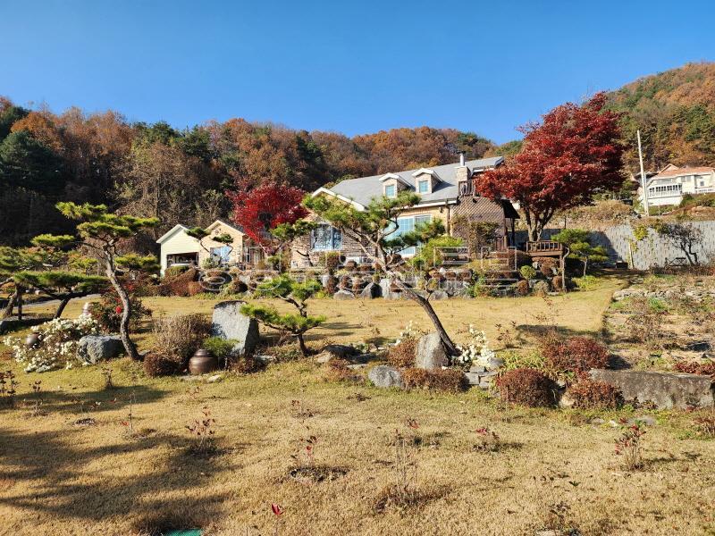 잘 가꾸어진 아름다운 정원과 연못이 있는 들꽃향 가득한 남향의 햇살 좋은 평화로운 집_1