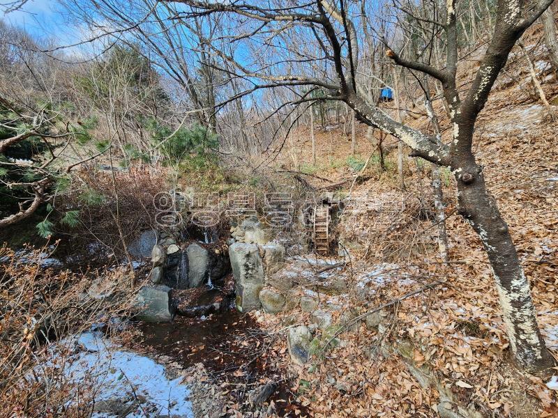 600평 규모의 수영장 갖춘 펜션 또는 휴양시설 적합한 시설_25