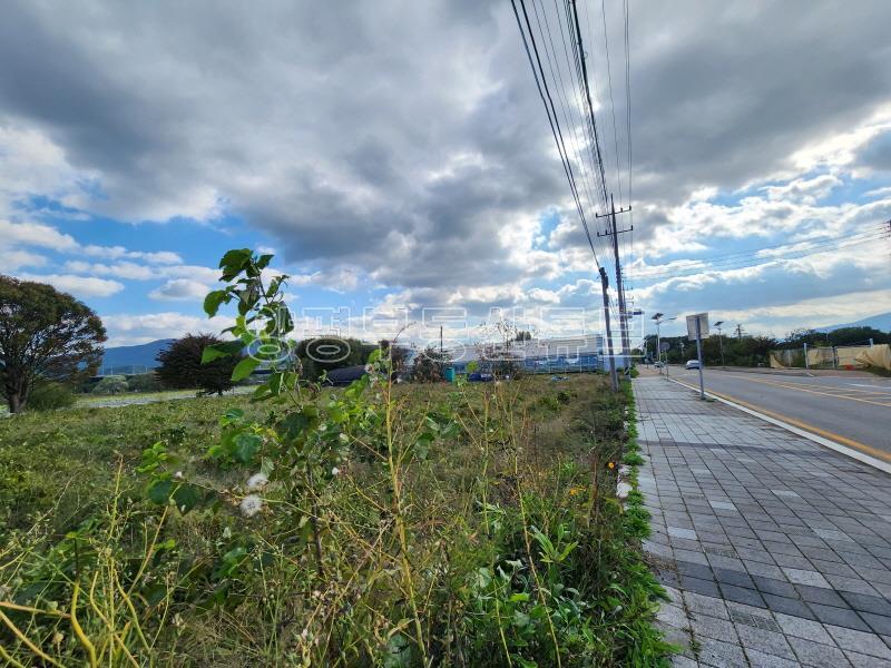 두물머리 산책로와 접하고 2차선 도로와 접한 그린벨트내 반듯한 토지_16