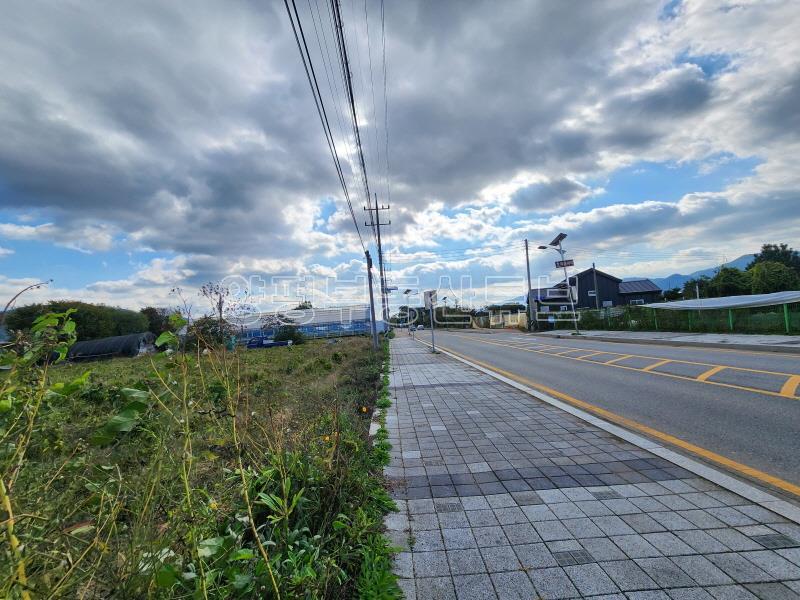 두물머리 산책로와 접하고 2차선 도로와 접한 그린벨트내 반듯한 토지_19