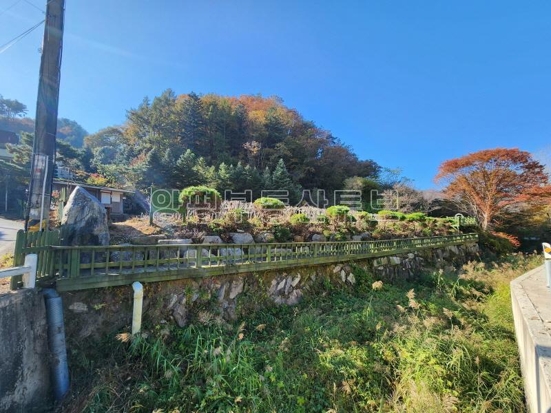 숲세권 조용하고 아늑한 상쾌함이 가득한 잘 다듬어진 토지_3