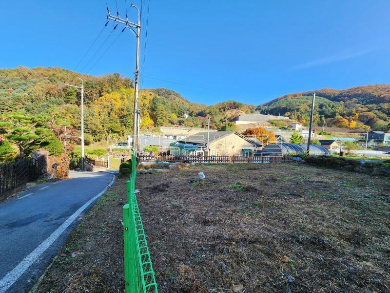 산좋고 물좋은 숲세권의 조용한 마을 내에 자리한 102평 토지 매매_9