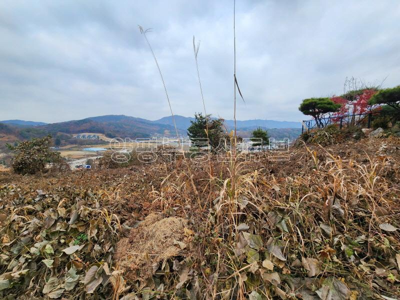 탁트인 전망과 6m도로 접해있는 넓은 전원주택단지내 택지 매매_3