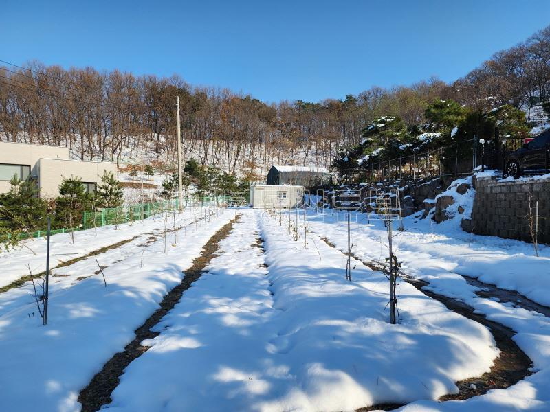 북한강이 전망되는 배밭 끝에 자라한 그린벨트 대지&전_7