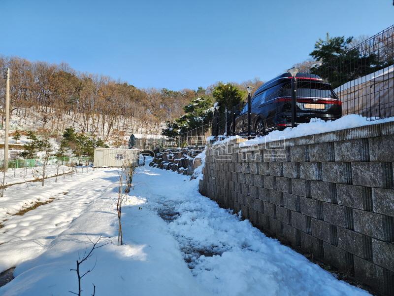 북한강이 전망되는 배밭 끝에 자라한 그린벨트 대지&전_8