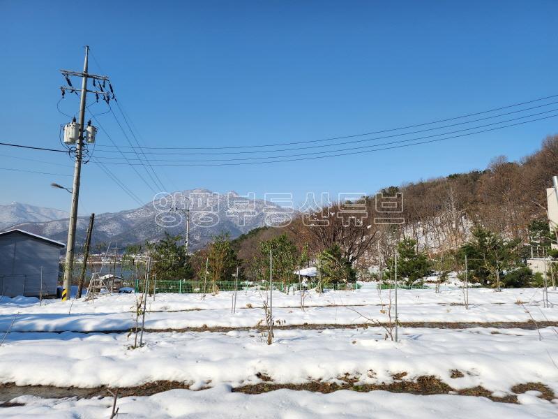 북한강이 전망되는 배밭 끝에 자라한 그린벨트 대지&전_12