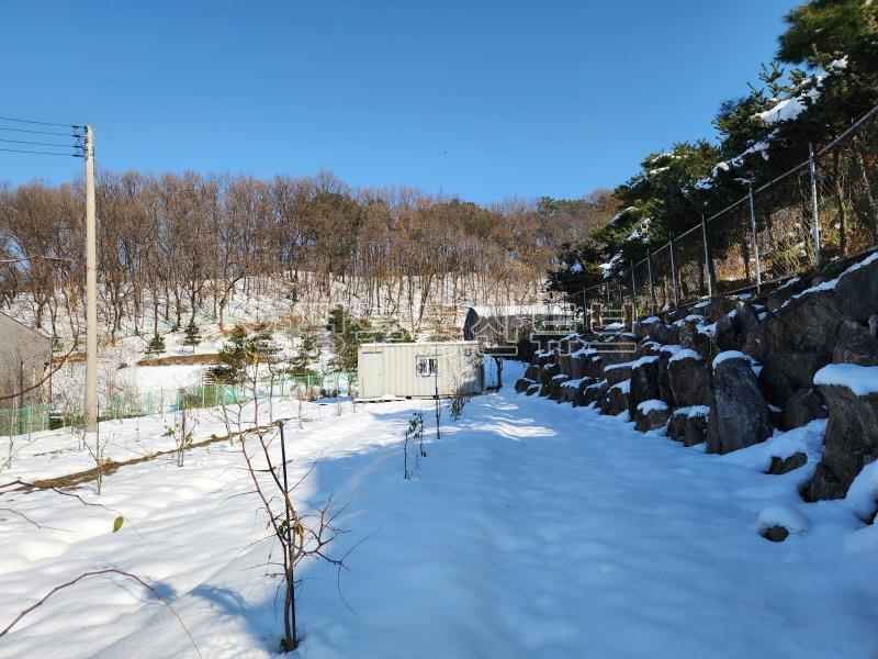 북한강이 전망되는 배밭 끝에 자라한 그린벨트 대지&전_13