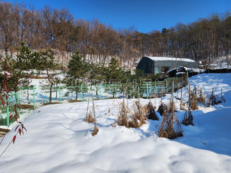 북한강이 전망되는 배밭 끝에 자라한 그린벨트 대지&전_20