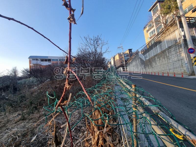 양수역 도보 3분 거리에 있는 500평대 넓은 토지_19