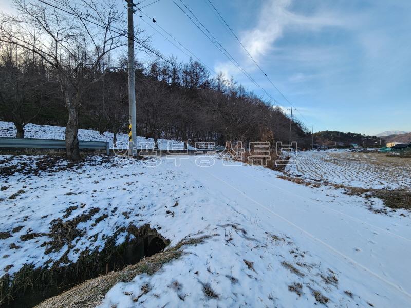 부용리 도시지역, 자연녹지, 그린벨트 내  자연지형의 저렴한 농지 600평이상_5