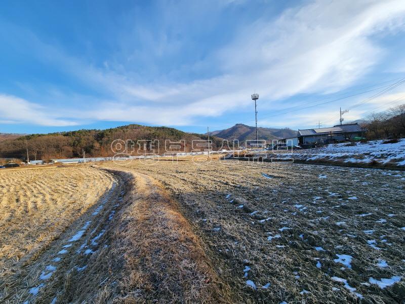 부용리 도시지역, 자연녹지, 그린벨트 내  자연지형의 저렴한 농지 600평이상_9