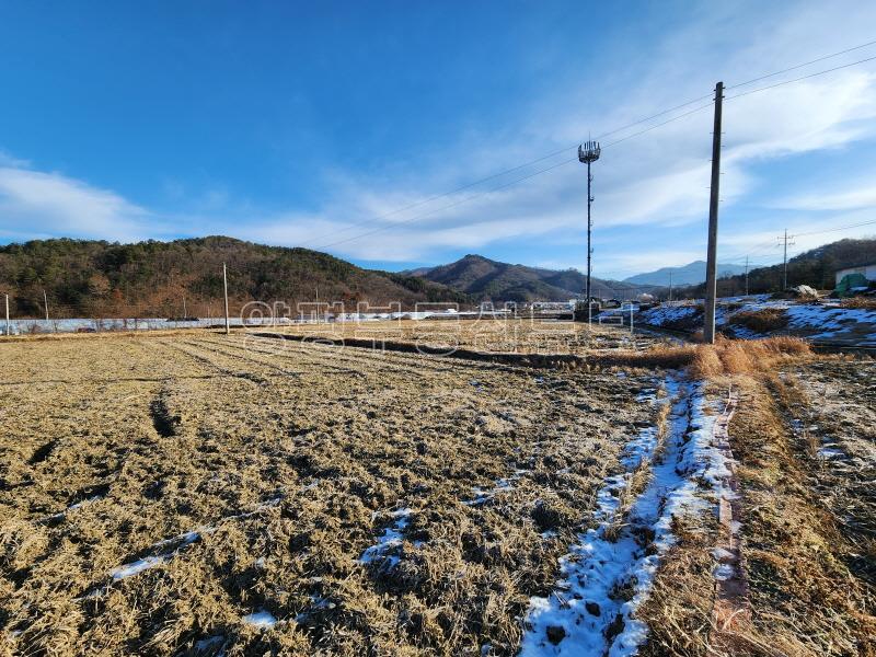 부용리 도시지역, 자연녹지, 그린벨트 내  자연지형의 저렴한 농지 600평이상_18