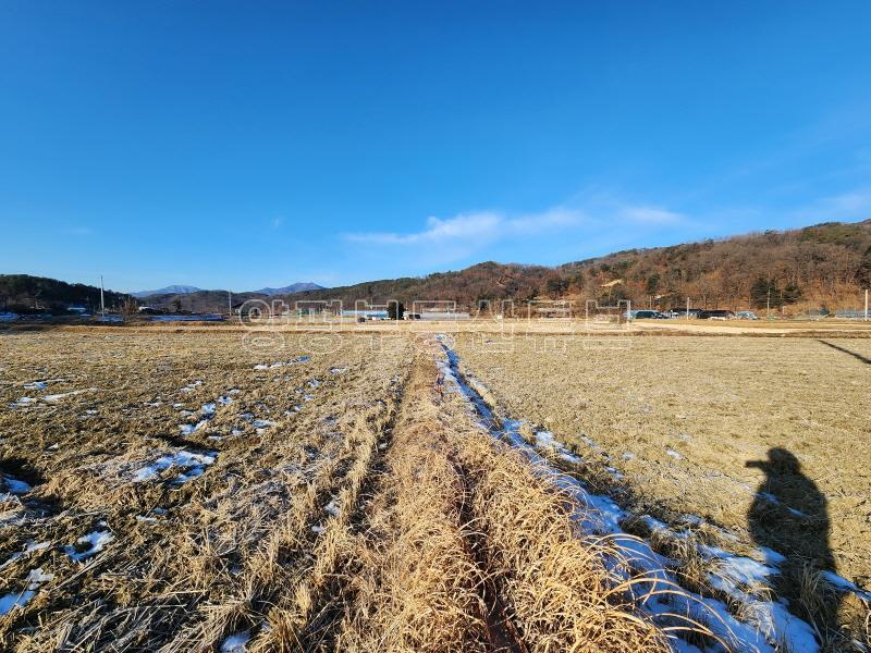 부용리 도시지역, 자연녹지, 그린벨트 내  자연지형의 저렴한 농지 600평이상_21