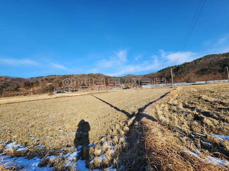 부용리 도시지역, 자연녹지, 그린벨트 내  자연지형의 저렴한 농지 600평이상_22