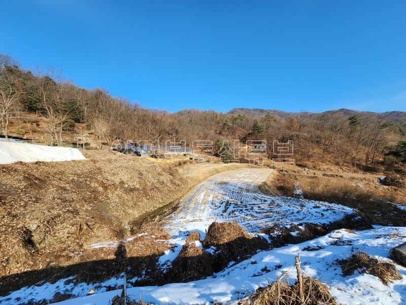 남향으로 탁트이고 완만한 경사에 구거와 접한 6번국도 접근성 좋은 토지_2