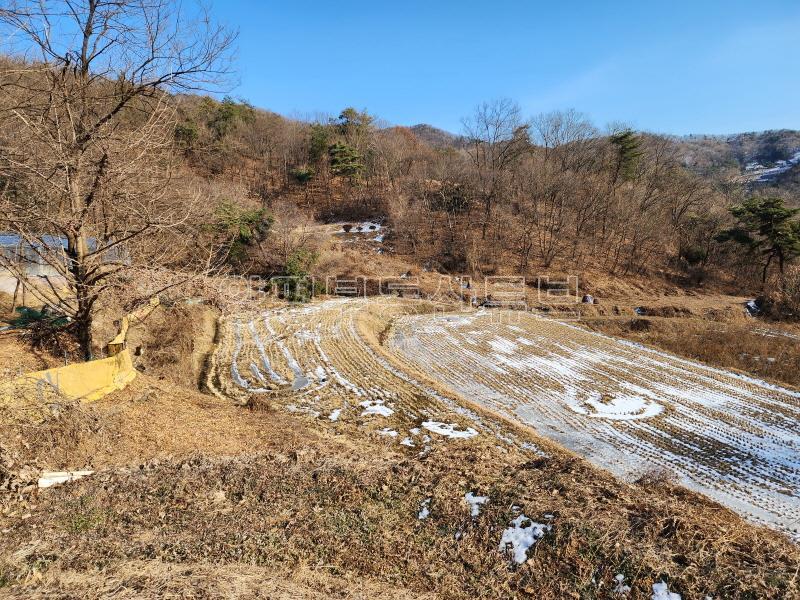 남향으로 탁트이고 완만한 경사에 구거와 접한 6번국도 접근성 좋은 토지_5