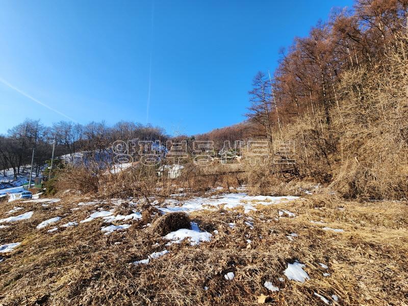 산으로 둘러쌓인 아늑한 곳에 햇살 가득 담아 마을된 곳의 넓은 땅_13