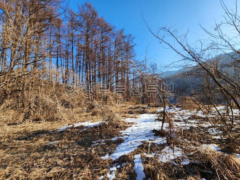 산으로 둘러쌓인 아늑한 곳에 햇살 가득 담아 마을된 곳의 넓은 땅_19